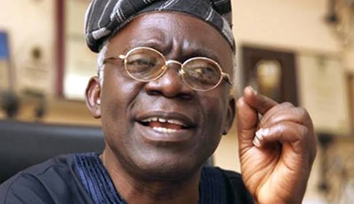 Falana Urges FG to Sue South Africa Over Alleged Killings of Nigerians